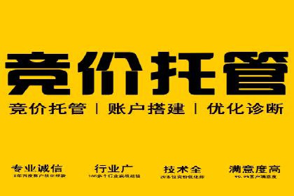 SEM搜索引擎优化实战案例：从失败到成功的优化历程